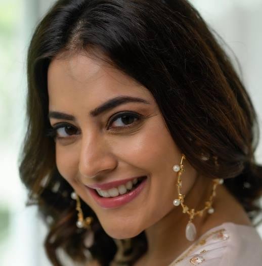 Nisha Agarwal Wiki, Bio, Net Worth, Age, Height & Career Facts - Knownalytics
