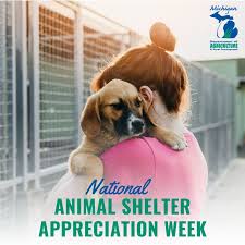 Fund an Animal Shelter (1 Year)